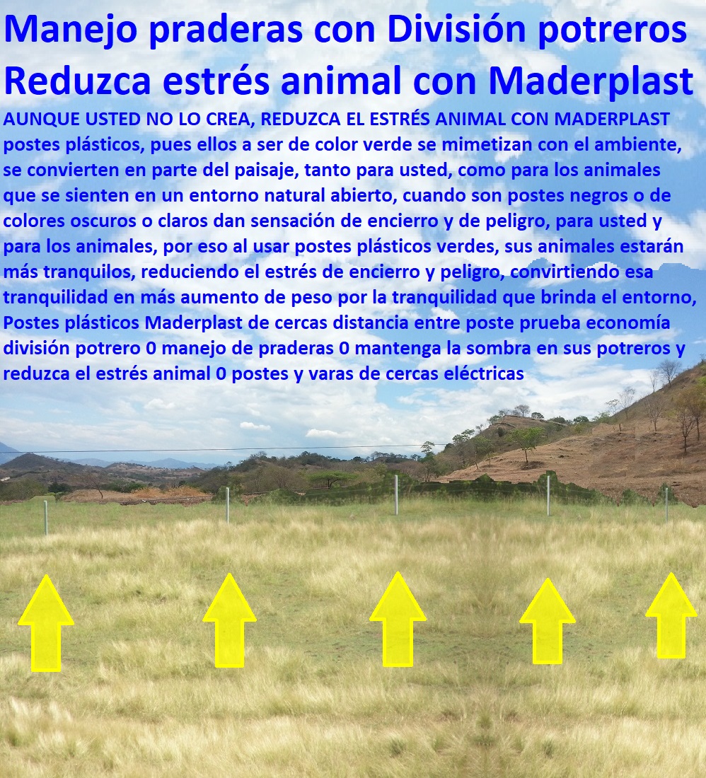 Postes plásticos Maderplast de cercas distancia entre poste prueba economía división potrero 0 manejo de praderas 0 mantenga la sombra en sus potreros y reduzca el estrés animal 0 postes y varas de cercas eléctricas Postes plásticos Maderplast de cercas distancia entre poste prueba economía división potrero 0 manejo de praderas 0 mantenga la sombra en sus potreros y reduzca el estrés animal 0 postes y varas de cercas eléctricas Postes plásticos Maderplast de cercas distancia entre poste prueba economía división potrero 0 manejo de praderas 0 mantenga la sombra en sus potreros y reduzca el estrés animal 0 postes y varas de cercas eléctricas